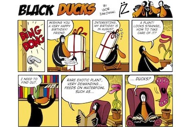 Комикс история черных уток серия 74
