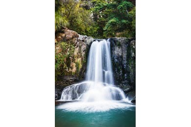 Быстрый водопад Вайау расположенный в лесу