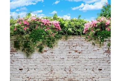 Цветущие кусты над кирпичной стеной Цветущие кусты над кирпичной стеной
