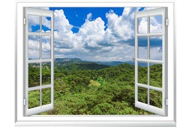 Вид из окна с высоты тропических джунглей на небо