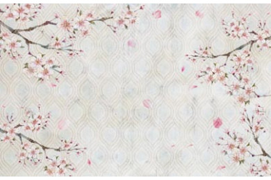 Цветы сакуры в углах в гранж стиле Цветы сакуры в углах в гранж стиле