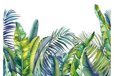 Акварельные тропические пальмы и банановые листья