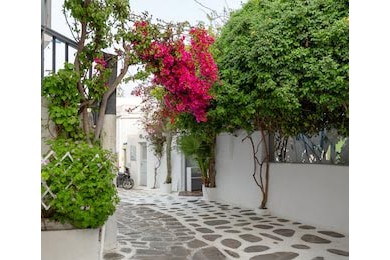 Бугинвилия на узкой улице в городе Миконос, Греция