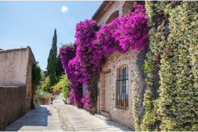 Французский дворик с цветами на стене Французский дворик с цветами на стене