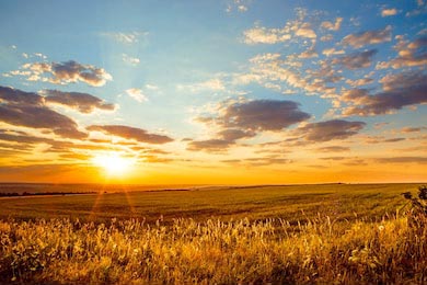 Рассвет над бескрайними полями, холмами, лугами Рассвет над бескрайними полями, холмами, лугами