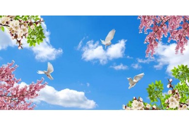 Весенние ветки деревьев и голуби в прекрасном небе