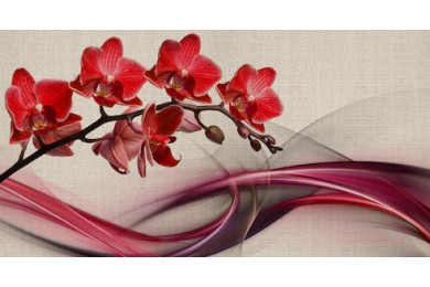 Красные орхидеи с шелковым шлейфом на холсте