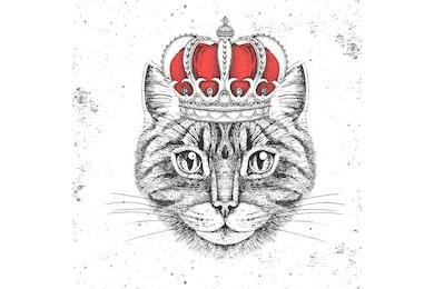 Нарисованный вручную кот-хипстер с короной на голове