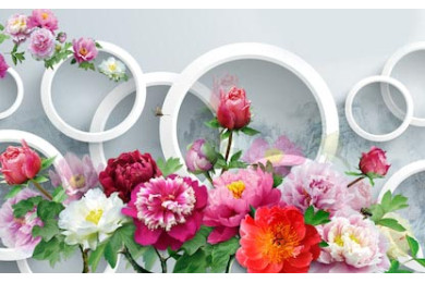 Разноцветные цветы на фоне белых кругов