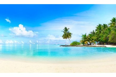 Пляж с белым песком у океана с пальмами и небом