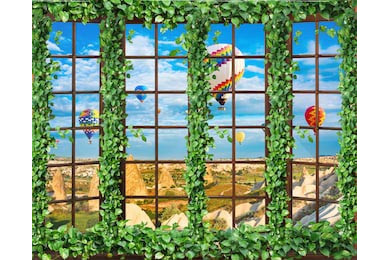 Панорамные окна с плетущимся растением с видом Панорамные окна с плетущимся растением с видом