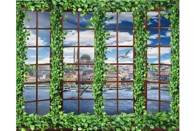 Большие окна обвитые плющем с видом на город у моря