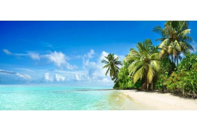 Голубой океан и тропический пляж с пальмами