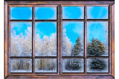 Вид из окна покрытого льдом на зимний сад