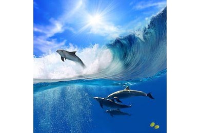 Дельфины плывущие под водой и выпрыгающие с волнами