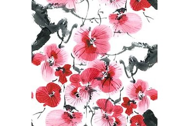 Дерево сакуры цветения с розовыми цветками
