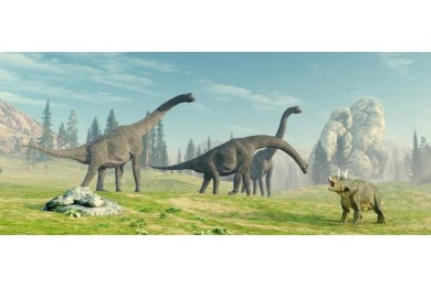 Виды брахиозавров в природе