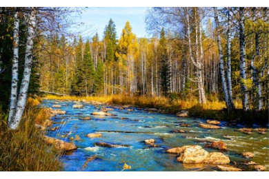 Река в осеннем лесу