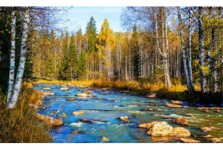 Река в осеннем лесу