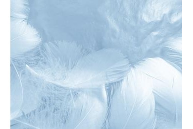 Красивые абстрактные красочные синие перья