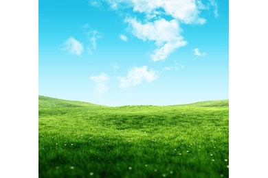 Свежие зеленые поля под голубым небом весной