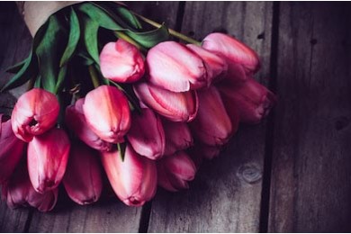 Букет весенних розовых тюльпанов на винтажной доске