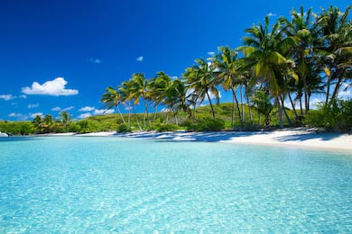 Пальмовый и тропический пляж с прозрачной водой