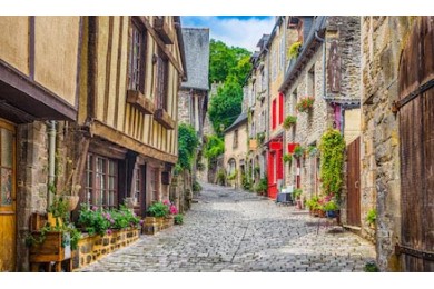 Вид на аллею с домами и мощеной улицей в Европе