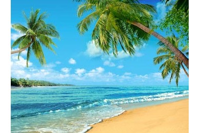 Волны на песчаном берегу с тропическими пальмами