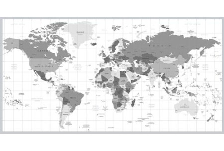 Карта мира в градациях серого с информацией