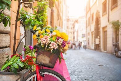 Велосипед с цветами на старой улице в Риме, Италия
