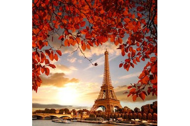 Эйфелева башня с красными осенними листьями в Париже