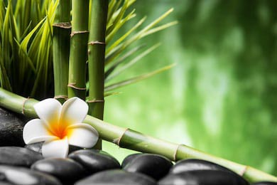Базальтовые камни бамбук и цветок Франгипани