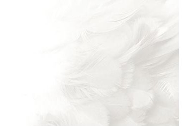 Белый размытый фон с текстурой легких перьев