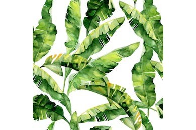 Акварельная иллюстрация тропических листьев