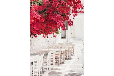 Греческая улица с цветами на Миконосе