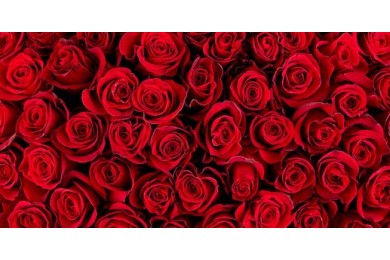 Изображение натуральных красных роз