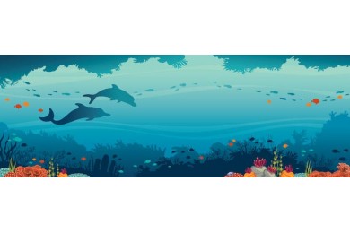 Дельфины, коралловый риф и косяк рыб в море
