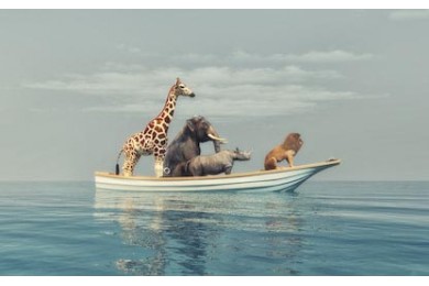 Лев, носорог, слон, жираф, плывут в лодке