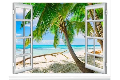 Белый песчаный пляж с пальмами вид из окна