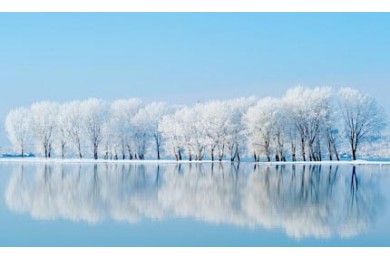 Белоснежные деревья отражаются в зимнем озере