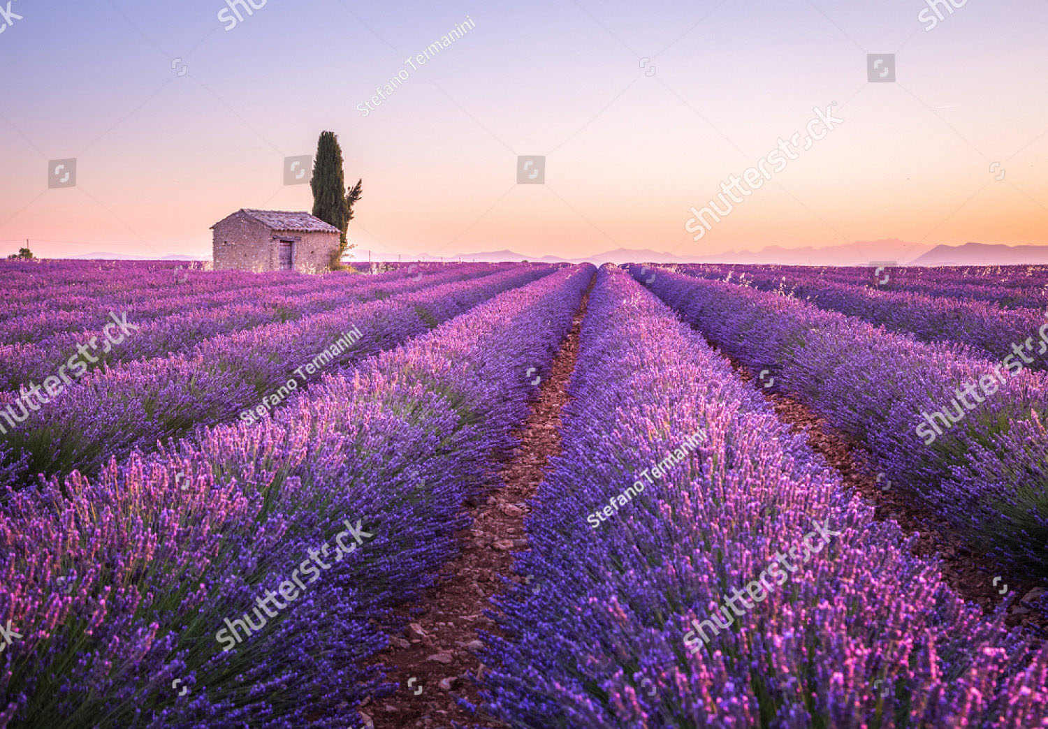 Дни в провансе. Лавандовый Прованс. Франция (Lavender, Provence France). Валансоль Франция. Провинция Люберон Лаванда. Поля лаванды во Франции.