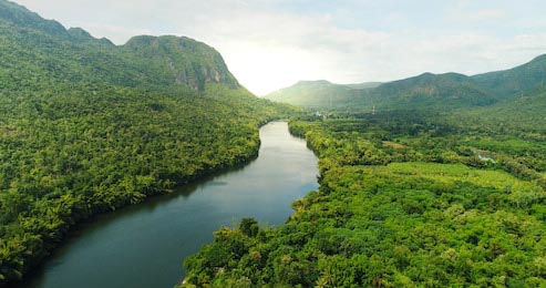 Пейзажи реки в Юго-Восточной Азии тропический лес