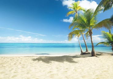Карибское море и пальмы на песчаном белом берегу
