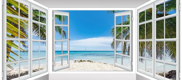 Вид из панорамных окон на зеленые пальмы и море
