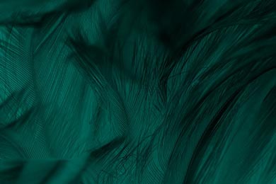 Темно-зеленый виридианский винтажный цвет перьев