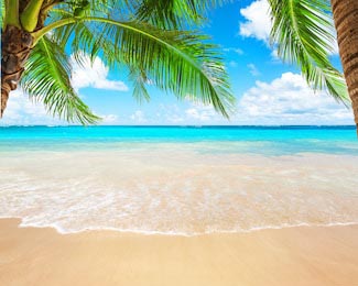 Вид на красивый тропический пляж в Доминикане