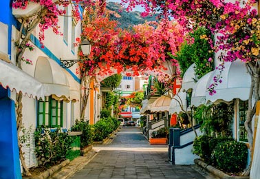 Маленькая улица, полная цветущих деревьев в Испании