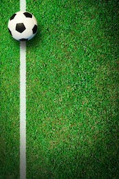 Мяч лежит на белой полосе футбольного поля
