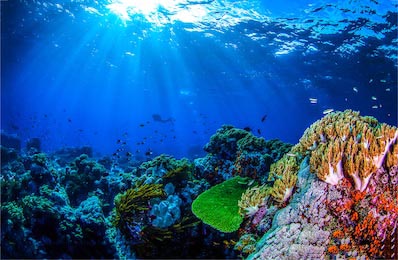 Подводный пейзаж кораллового рифа и солнцем